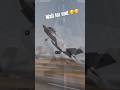 Airplane Roar Before Takeoff ✈️