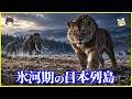【ゆっくり解説】日本にもライオンがいた!?氷河期の日本列島に生息した「ホラアナライオン」の正体を解説/「トラ」だと思われた化石の正体とは