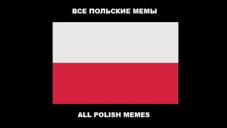 Все польские мемы | Бобр ky*ва, ky*ва ежик, ky*ва скунс | All Polish memes