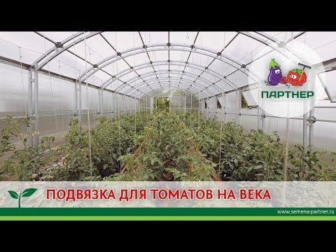 ПОДВЯЗКА ДЛЯ ТОМАТОВ НА ВЕКА