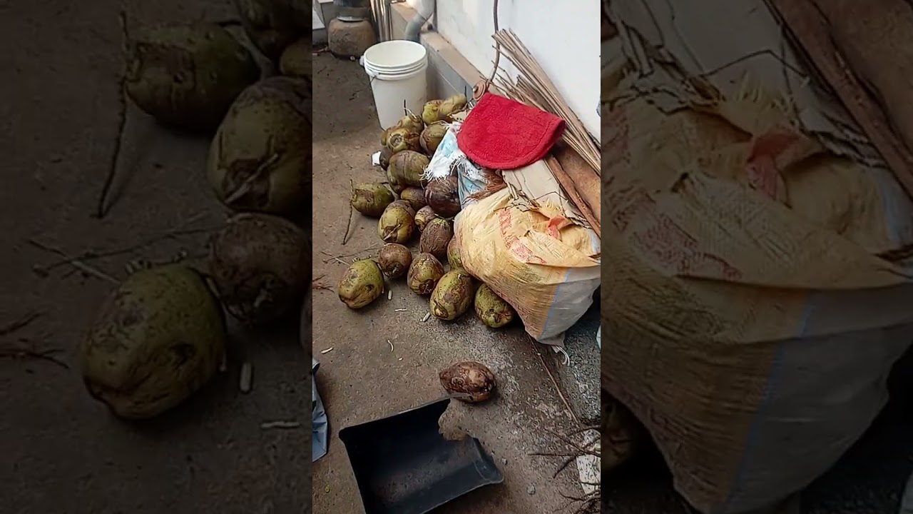 #ഇന്നാലൊ#ഞൻ എൻെറ താറവാട്ടിൽ പോയി# അവിടെ തെവിശൊഷംങ്ങൾ#