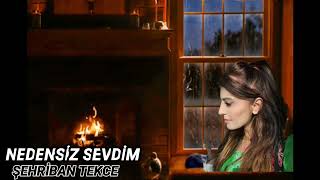 NEDENSİZ SEVDİM & ŞEHRİBAN TEKCE #aşk #şiir #sehribantekce Resimi