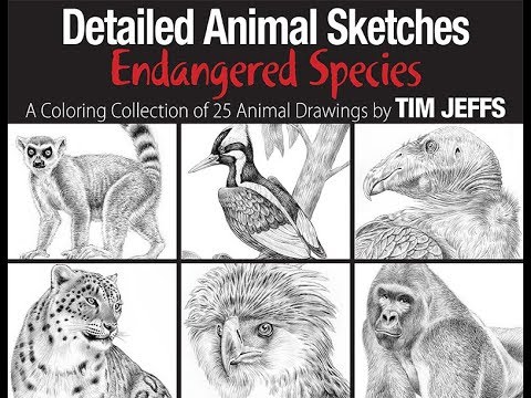 Extinct animals drawing Black and White Stock Photos  Images  Alamy