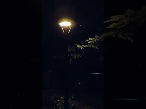 موسيقى فيلم عريس من جهه امنية