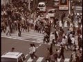 キンモクセイ - むすんでひらいて