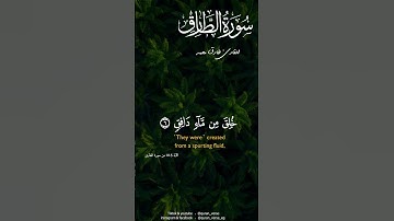فَلْيَنظُرِ الْإِنسَانُ مِمَّ خُلِقَ || سورة الطارق || القارئ طارق محمد