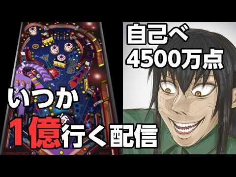 久々にデフォ音源でピンボール！【目標:1億】【Space cadet】