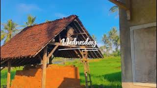 story' wa CINEMATIC pagi hari lagu Jawa Dino rebo