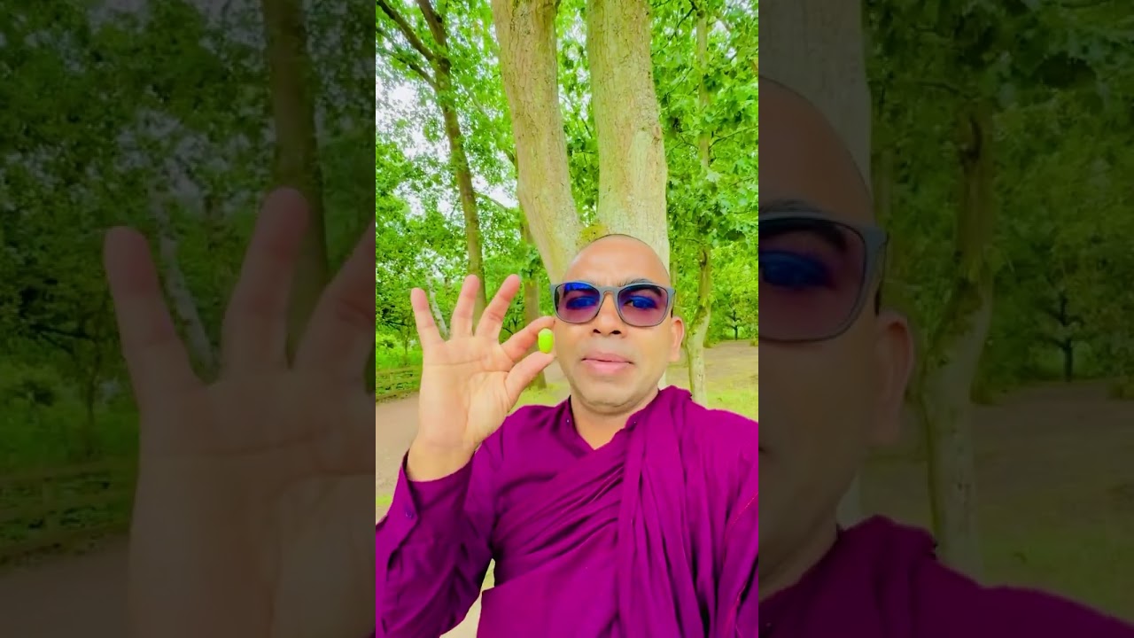 රොබින්හුඩ් හිටිය ගහ දැක්කද ?