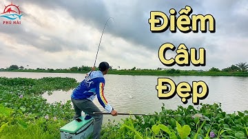 Câu cá tự nhiên | Trải nghiệm điểm câu đẹp trên sông Đa Độ.
