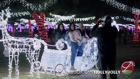 Holiday Lights & Carnival Rides in Largo Central Park