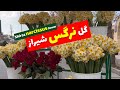 ЪЇЩ Щ Ш ЪЇШі ШґЫЊШ Ш ШІ рџЊј Shiraz Narcissus Flower ЪЇЩ Щ Ш ЪЇШі ШґЫЊШ Ш ШІ рџЊј Shiraz Narcissus Flower