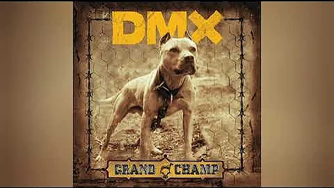 DMX - Untouchable (Clean) (feat. Syleena Johnson, Sheek, Cross, Infa-Red & Drag-On)