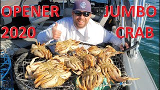Dungeness Crab Opener 2020 San Francisco Bay Area