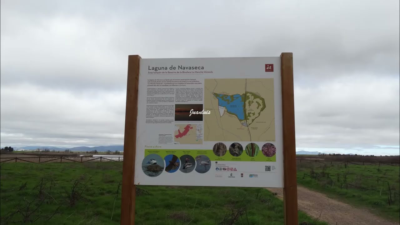 Las Tablas de Daimiel  y Laguna de Navaseca Marzo 2026