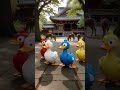4 Duck Dance Aramsamsam Ducklingspro Funnyshorts Duck Dancingduck Trendingshorts 4 Duck Dance Aramsamsam Ducklingspro Funnyshorts Duck Dancingduck Trendingshorts