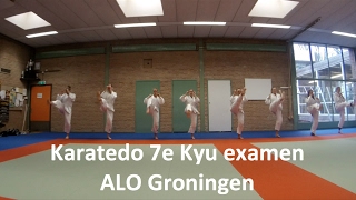 Karatedo examen ALO Groningen feb 2017