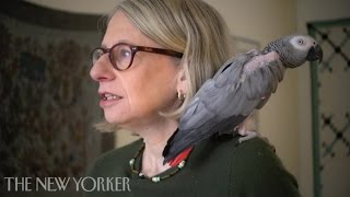 At Home with Roz Chast - The New Yorker