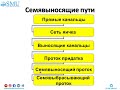 Лекция Гистология мужской половой системы