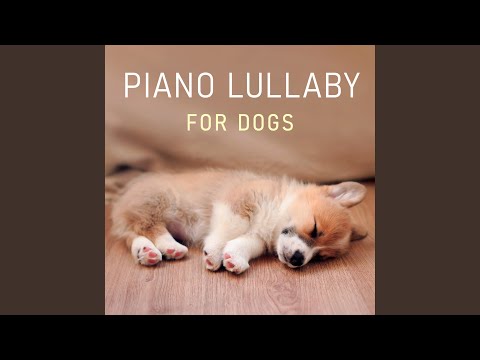 Ver 月光輕吻沉靜的湖面 (夜晚催眠曲) no YouTube