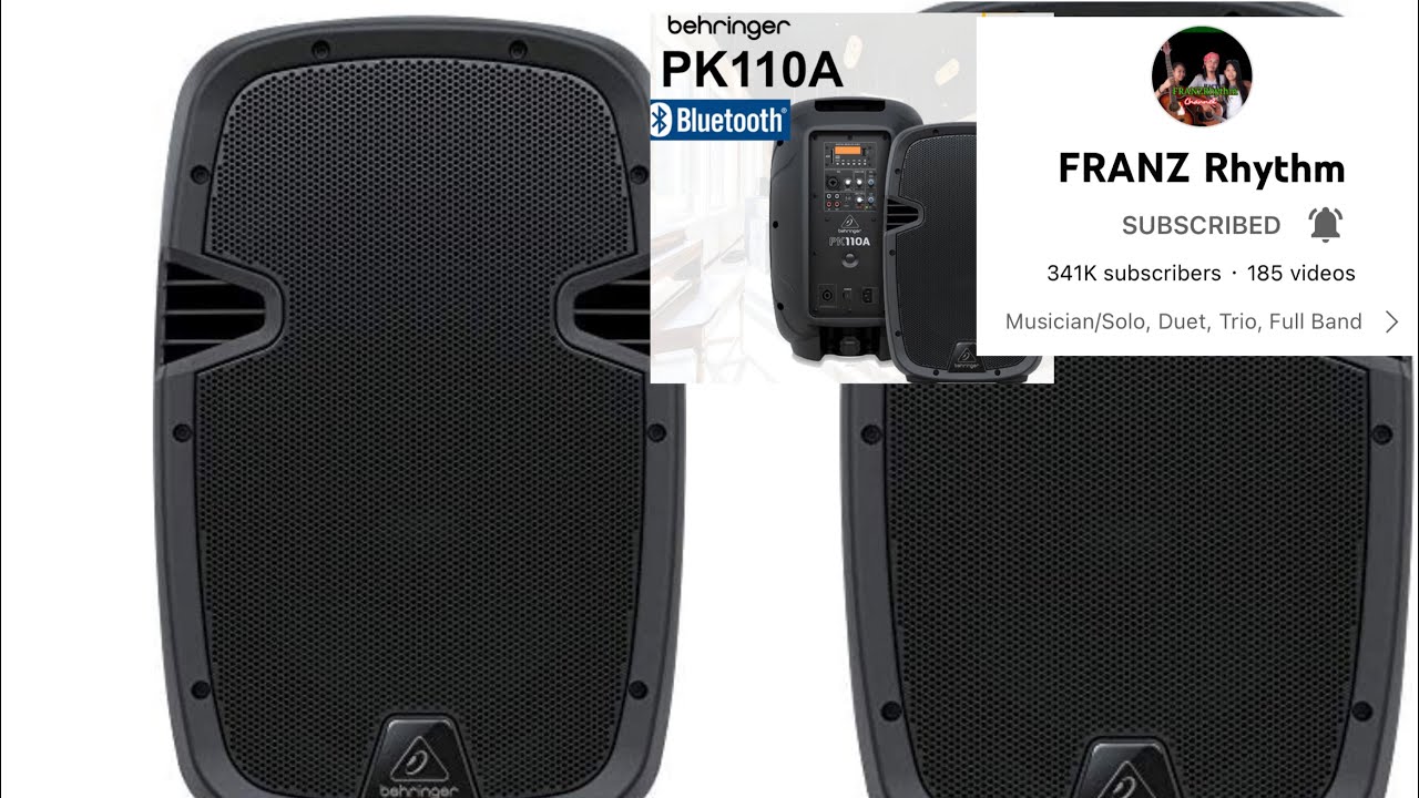 Behringer Pk110A Speaker Flexing Franz Rhythm Song GenaroMi Vlogs