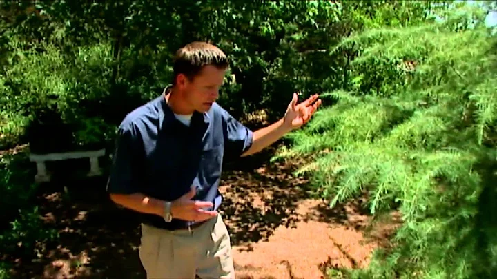 Mangum, Okla., Home Garden Tour