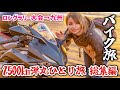 SSTR完走して九州まで2500km旅しながらバイクで帰る！弾丸一人旅 総集編