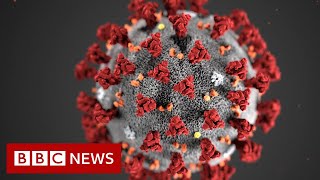 Coronavirus v Influenza: How do the two viruses compare? - BBC News Resimi