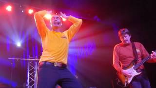 Here Come The Reindeer  Wiggles Reunion 2016