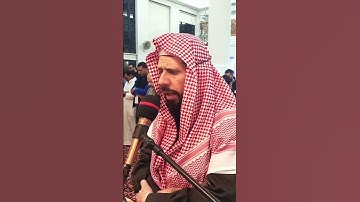 ما تيسر من سورة مريم #رمضان #صلاة_التراويح #تراويح #قران #محمدعلبي
