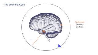 Learning through a virtuous Learning Cycle - Tablet PC Mauritius