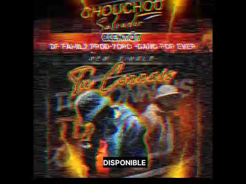 CHOUCHOU SALVADOR - Tu Connais (audio officiel)