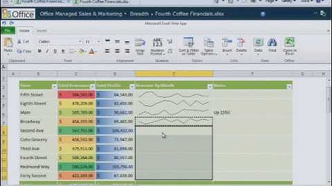 Office 2010-tips: Office Web Apps