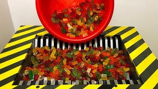 Experiment Shredding 2000 GUMMY BEAR