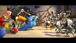Birds Vs Monkeys Epic Fight - Rio 2011