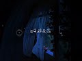 القارئ اسلام صبحي #quran #shortvideo 🎧❤️‍🩹🎧