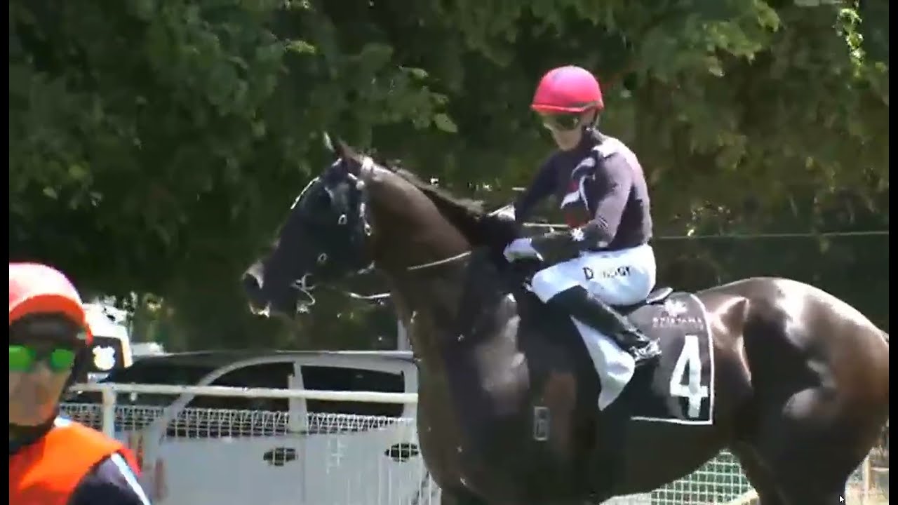 Гонка 5, Уэйверли, Новая Зеландия, 28 января 2026 г.