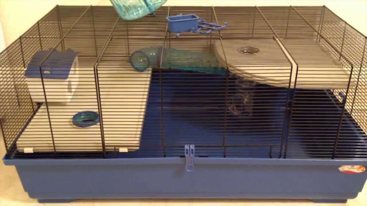 Marchioro Kevin 82 Hamster Cage - YouTube