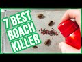 Best Roach Killers in 2020 (Top 7 Roach Bait) 💦 👍🏻 💡