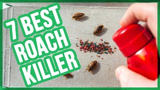 Best Roach Killers in 2020 (Top 7 Roach Bait)