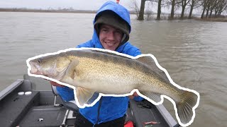 SUPER DIKKE SNOEKBAARZEN IN ONDIEP WATER!! - VLOG # 27