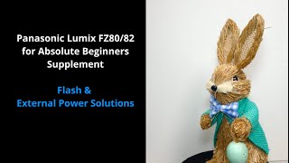Panasonic Lumix FZ80/82 For Absolute Beginners: Supplement