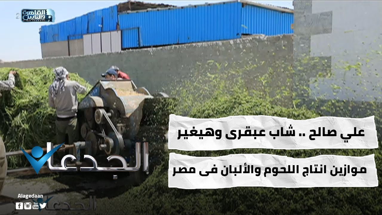 علي صالح .. شاب عبقرى وهيغير موازين انتاج اللحوم والألبان فى مصر
