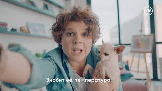 Ветеринар онлайн. 18+ Ветеринар онлайн. 18+