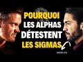 Pourquoi les mles alpha dtestent autant les mles sigma