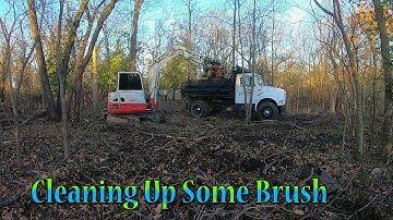 Cleaning Up Some Brush And Dead Trees