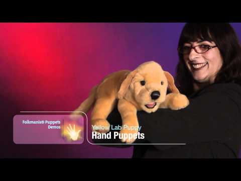 Folkmanis® Yellow Labrador Puppy Puppet Demo - Retired