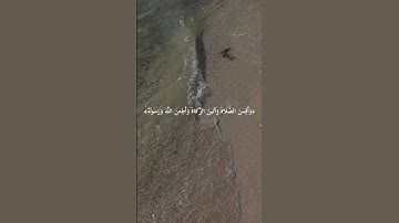 تلاوة خاشعة من سورة الأحزاب || القارئ الشيخ الوليد الشمسان #الوليد_الشمسان #تلاوات_الحَرَم