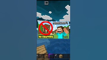 Minecraft but you can