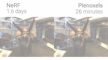 Plenoxels vs. NeRF - Dinosaur